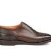 Belgrave Toecap Oxford City Shoe - Espresso Burnished