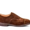 Regent Plain Toecap Oxford City Shoe - Chocolate Repello